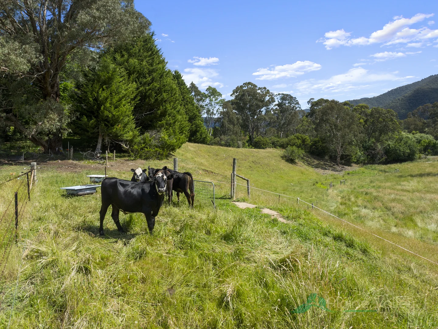 Additional image 28 of 13 Reids Lane, Coral Bank VIC 3691