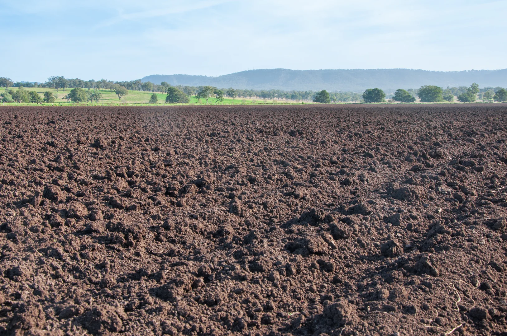 Additional image 8 of 'Billaroy' 395 Turanville Rd, Scone NSW 2337