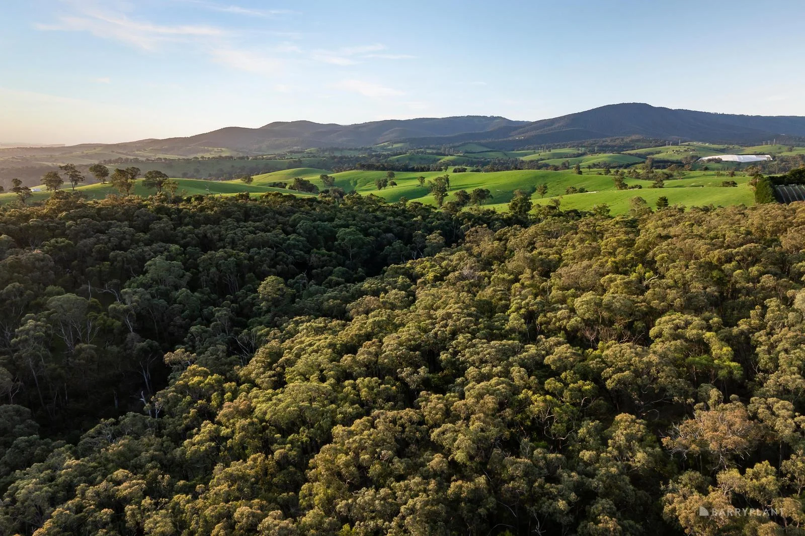 Additional image 7 of 210 Shaws Road, Cottles Bridge VIC 3099