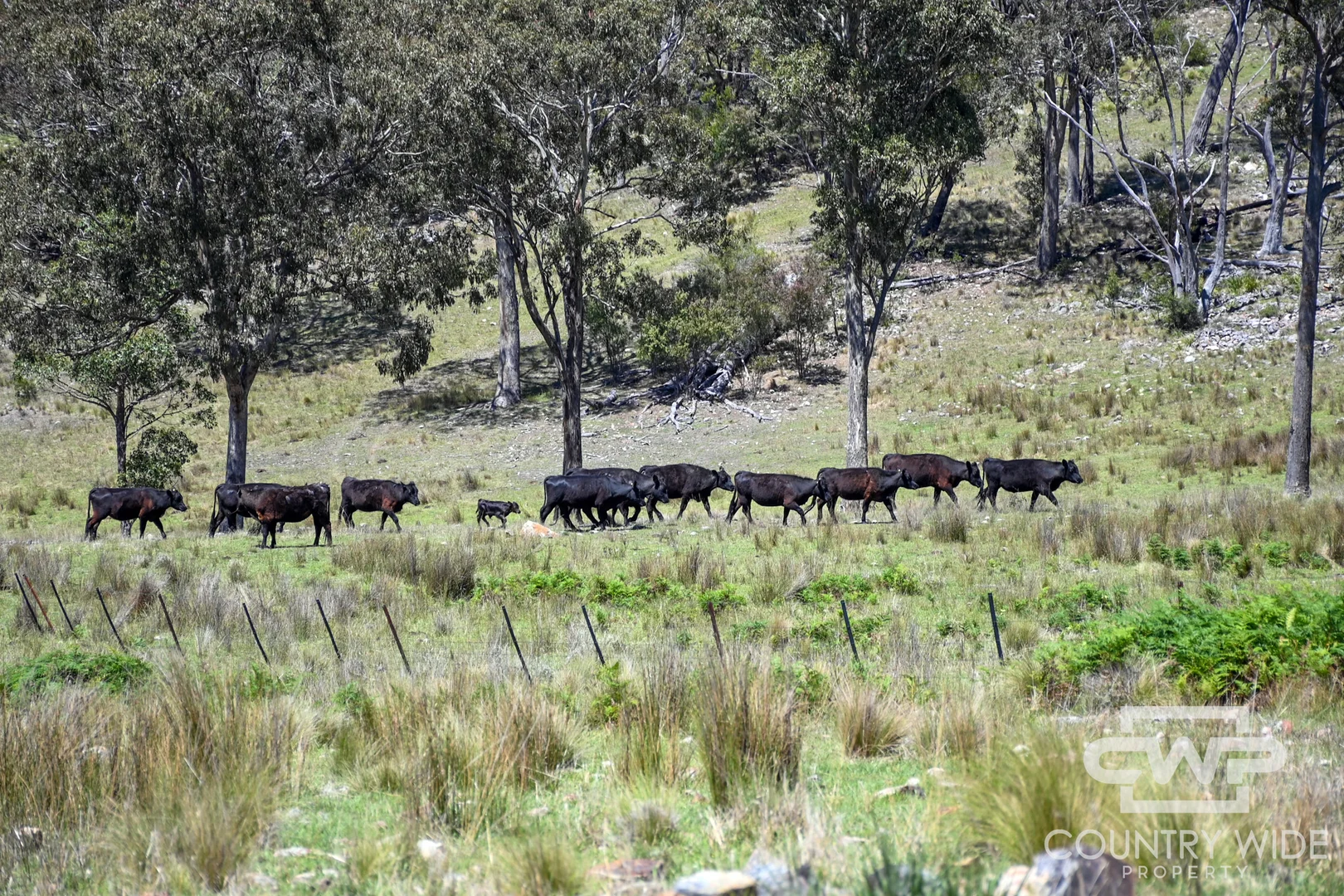Additional image 12 of 11, - Ten Mile Rd, Deepwater NSW 2371