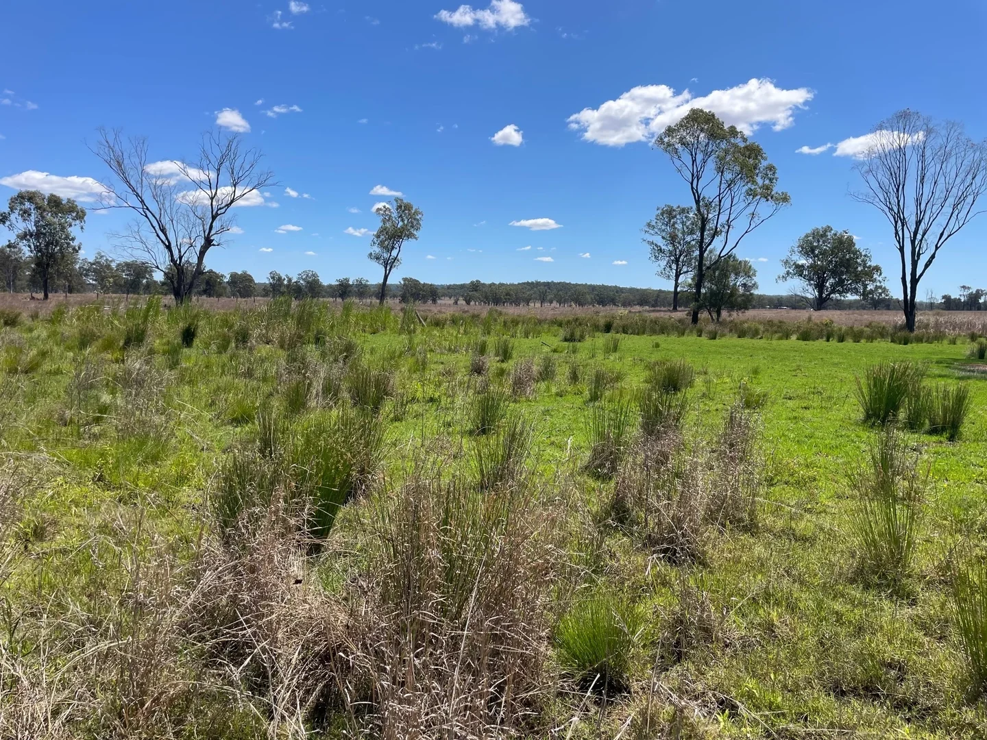 Additional image 13 of 8 Screening Plant Road, Cynthia QLD 4627