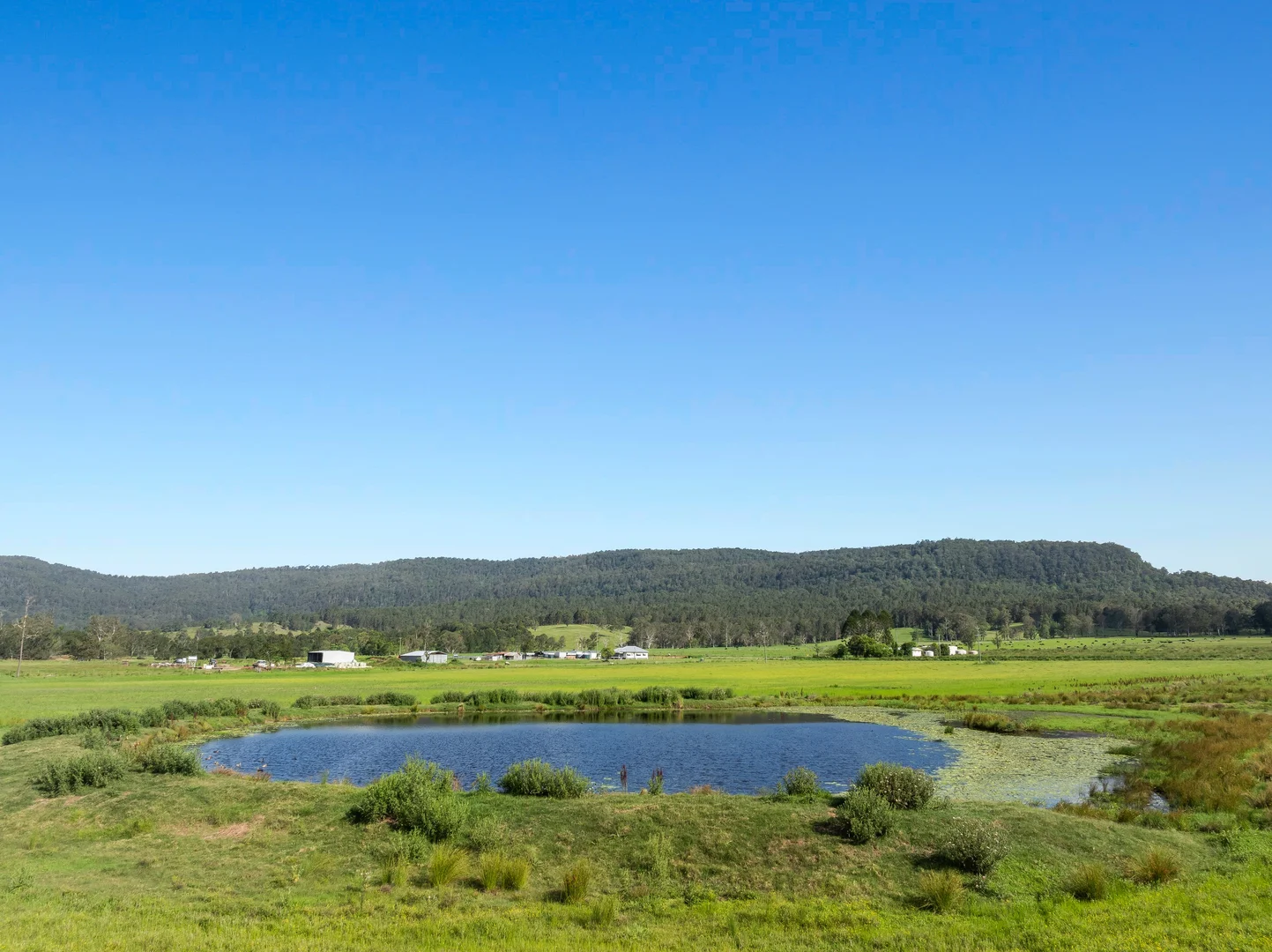 Additional image 11 of 119 Duck Creek Road, Old Bonalbo NSW 2469