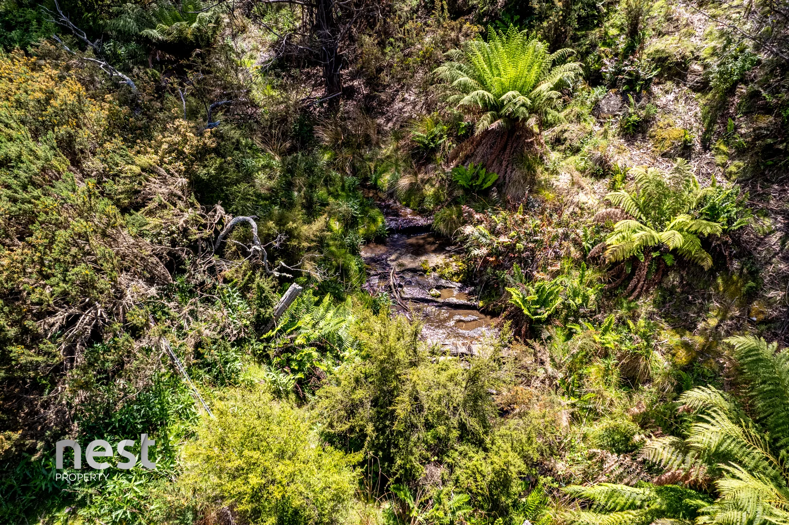 Additional image 26 of 464 German Town Road, St Marys TAS 7215