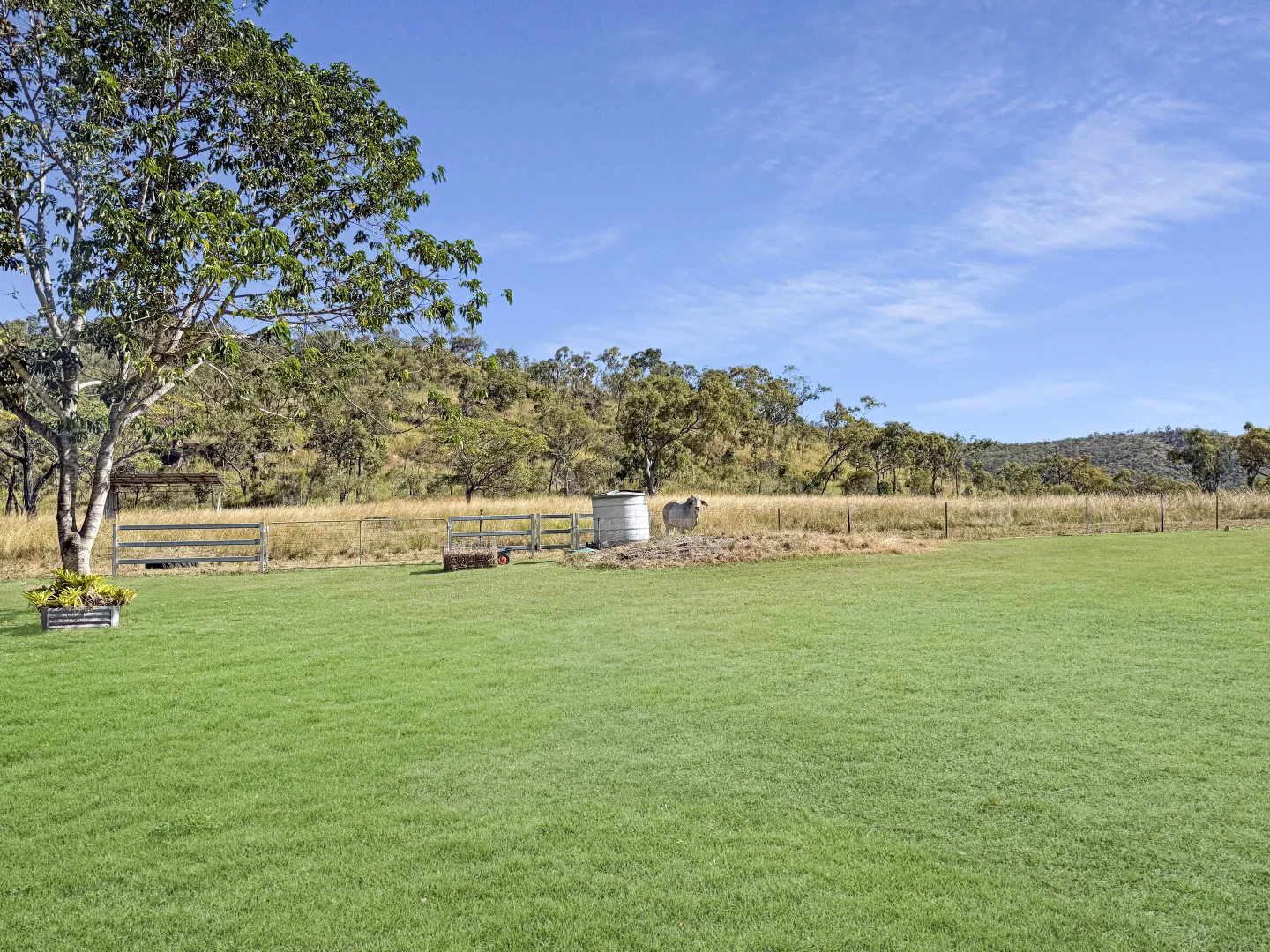 Additional image 37 of 362 Springmount Road, Mutchilba QLD 4872