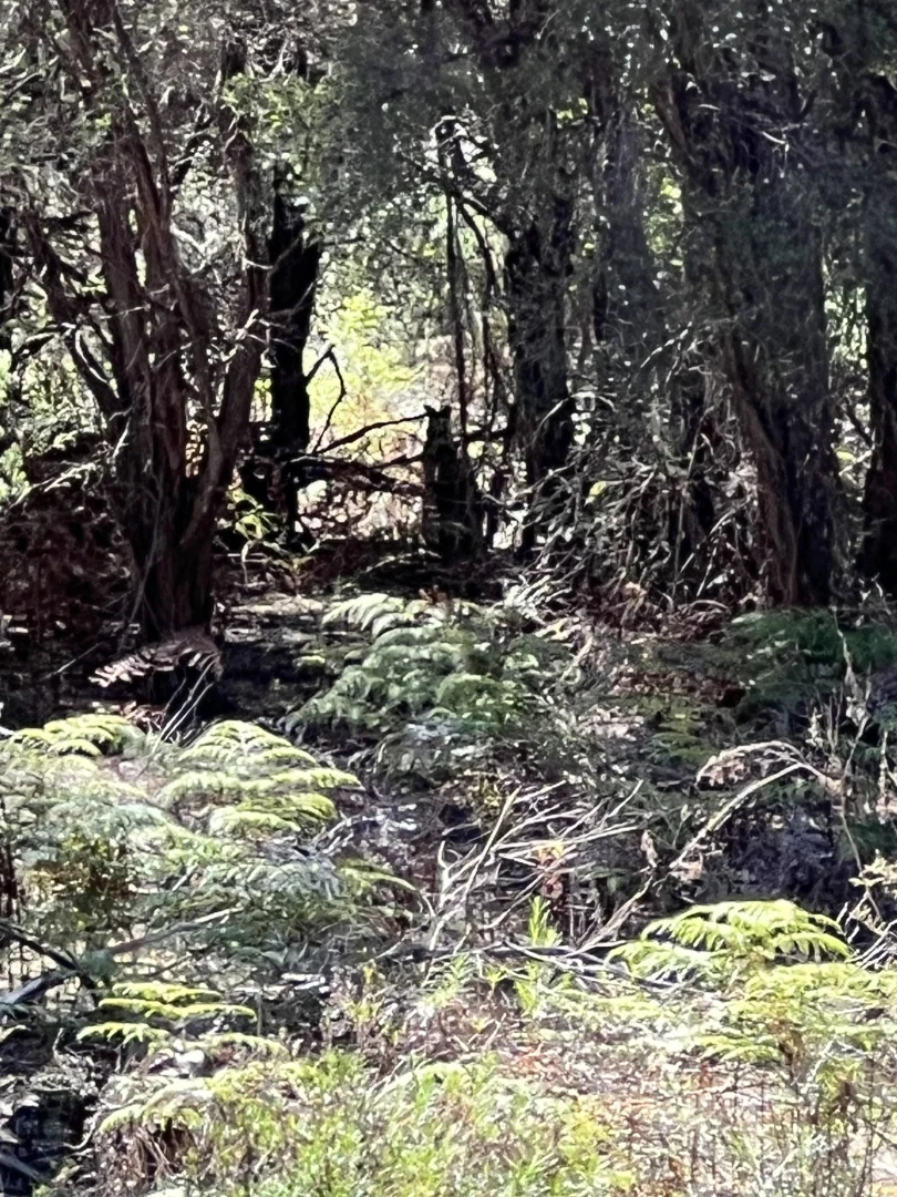 Additional image 9 of PID 6423792 Fairhaven Road, Memana TAS 7255