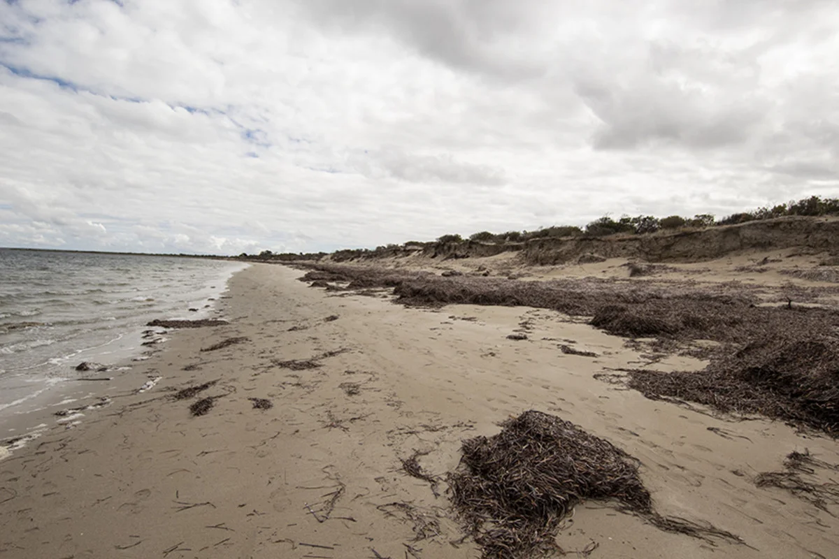 Additional image 11 of Section 101 Nugent Road, Foul Bay SA 5577