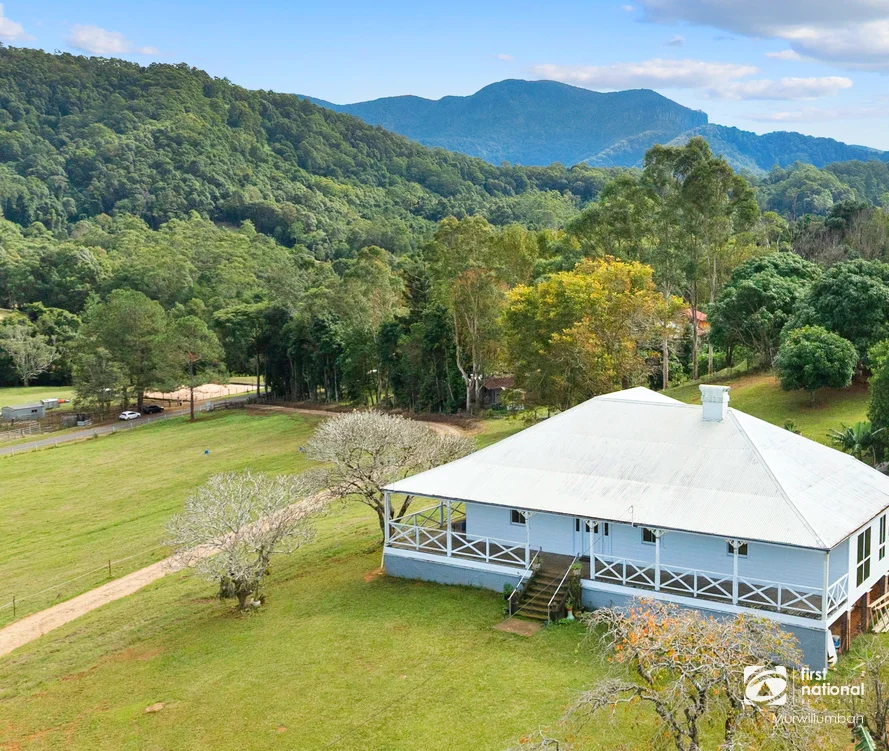 584 Nobbys Creek Road, Nobbys Creek NSW 2484