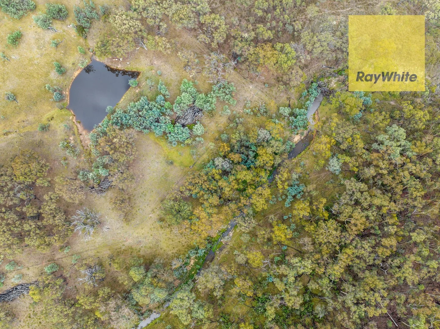 Additional image 2 of 1013 Bigga Road, Crooked Corner NSW 2583