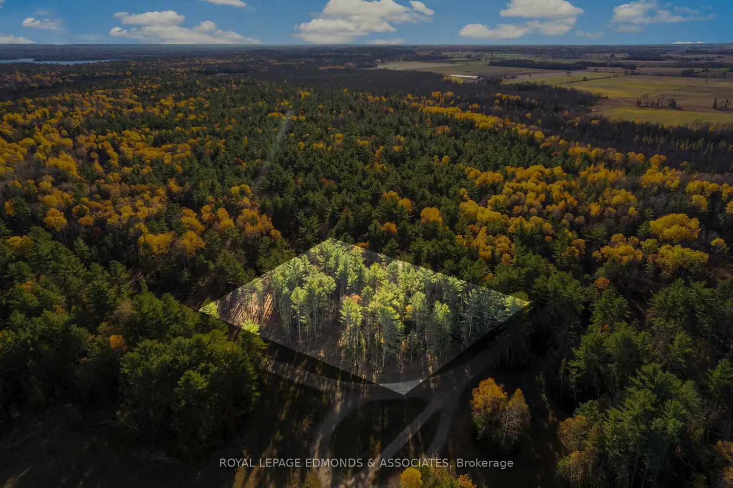 Additional image 3 of 100 Nangor Trail