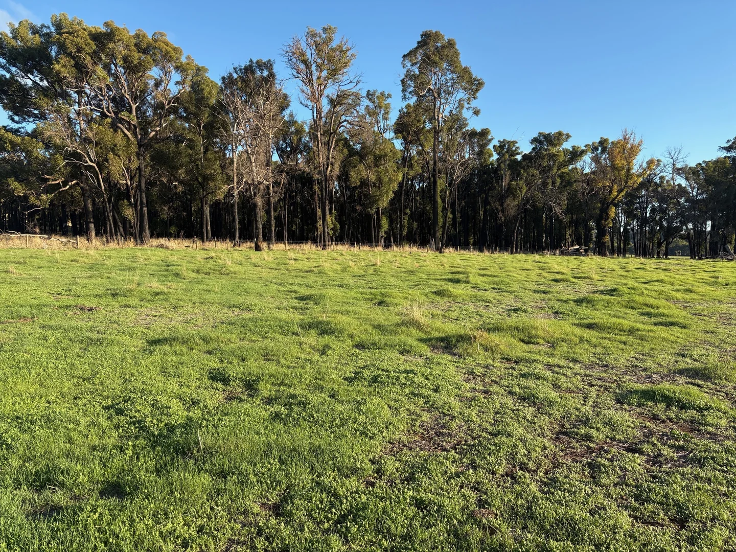 Additional image 4 of Lot 245 & Donnybrook-Boyup Brook Road, Glen Mervyn WA 6239