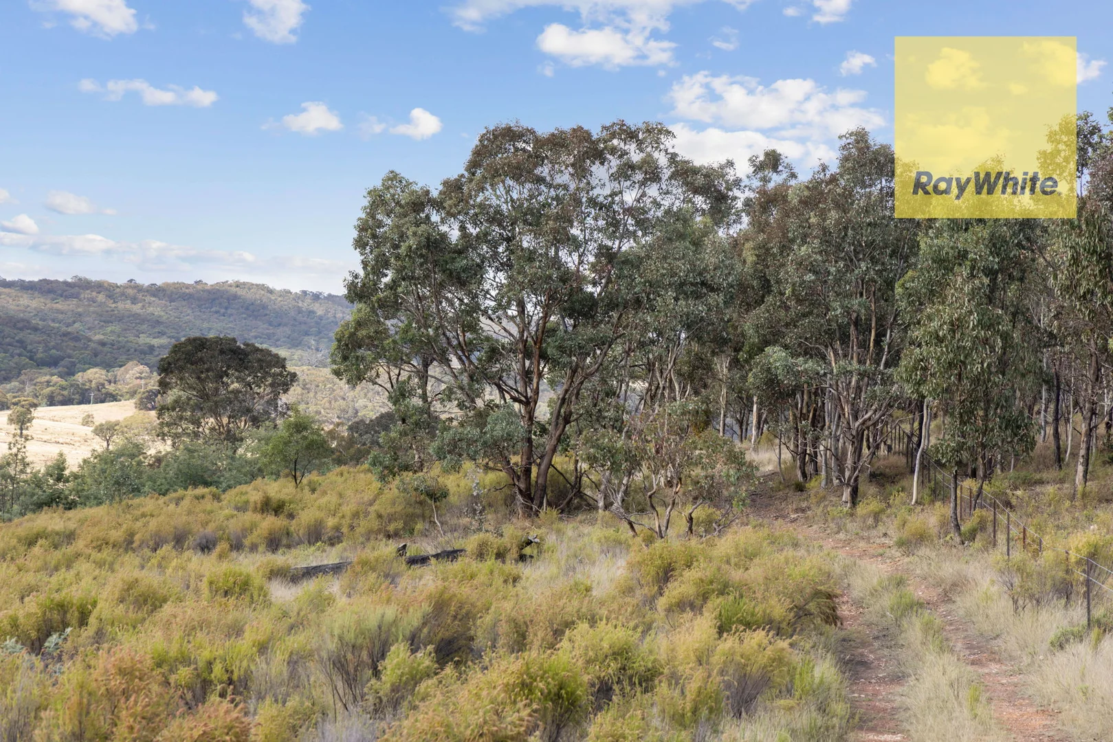 Additional image 7 of 1013 Bigga Road, Crooked Corner NSW 2583