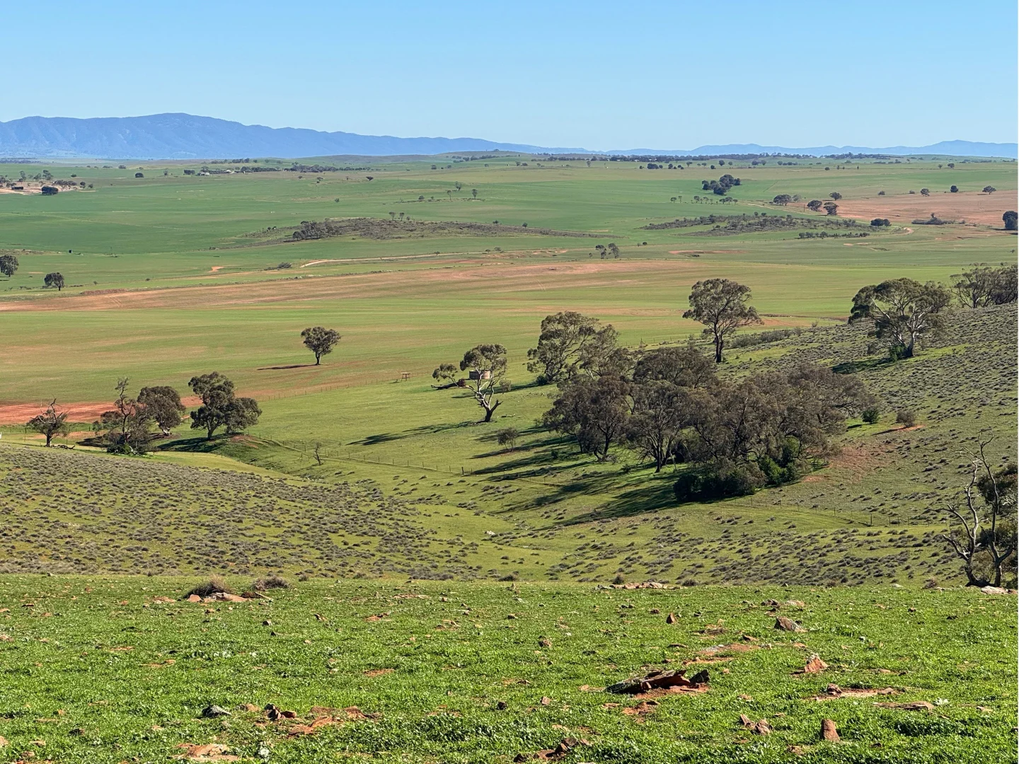 Additional image 22 of 235e Appila-Tarcowie Road, Tarcowie SA 5431