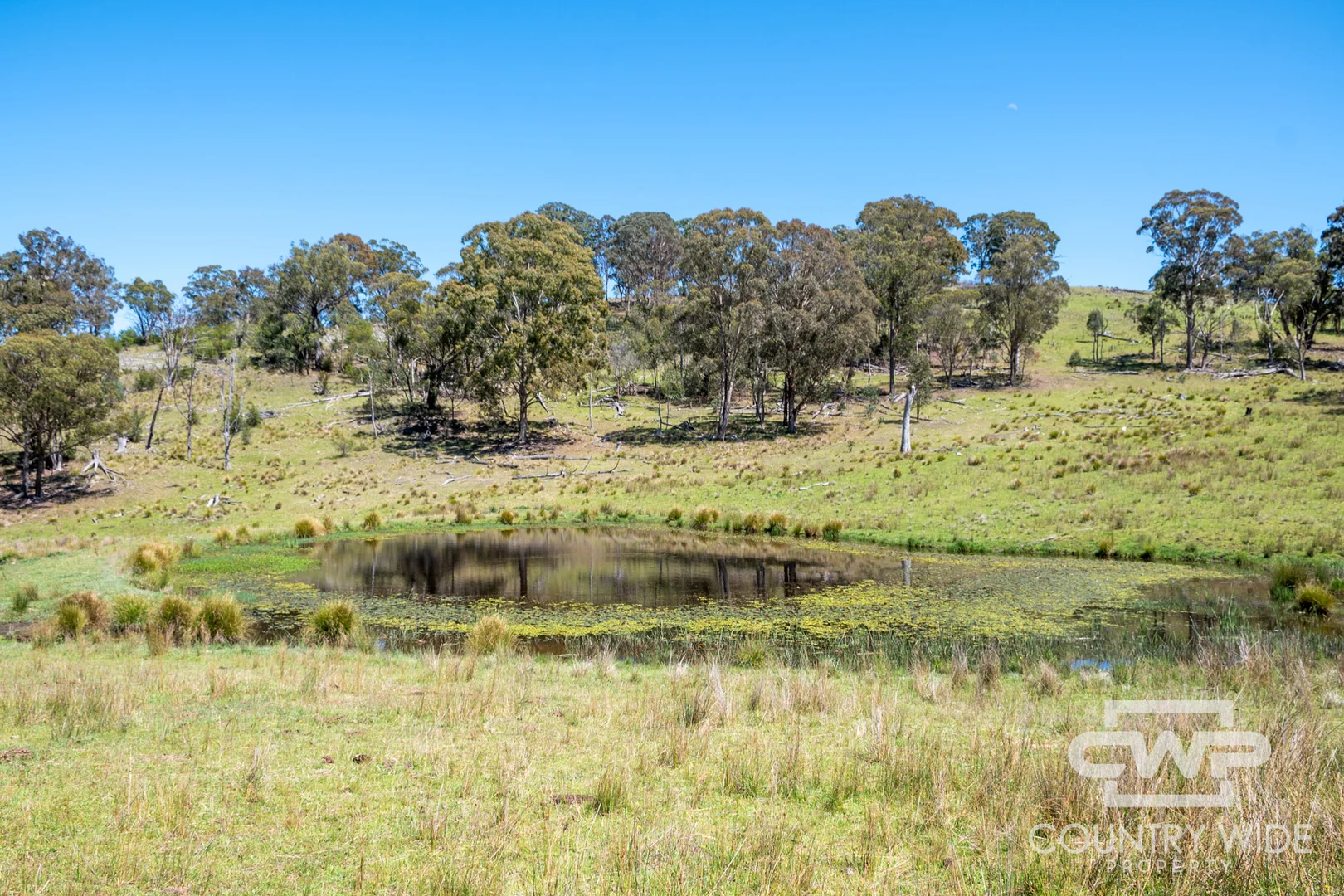 Additional image 18 of 11, - Ten Mile Rd, Deepwater NSW 2371