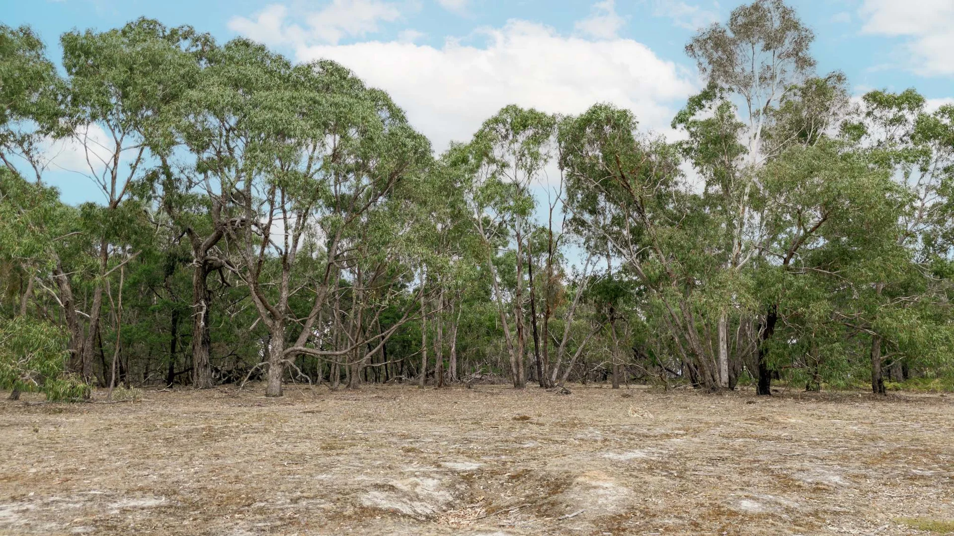 Additional image 7 of Oakleys Road, Mooralla VIC 3314