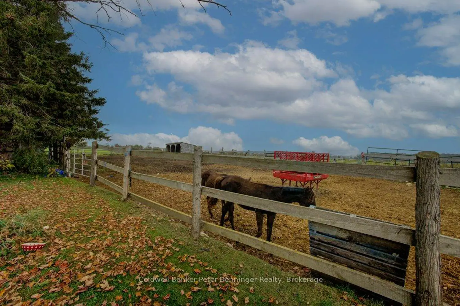Additional image 14 of 185197 Grey Road 9 Road