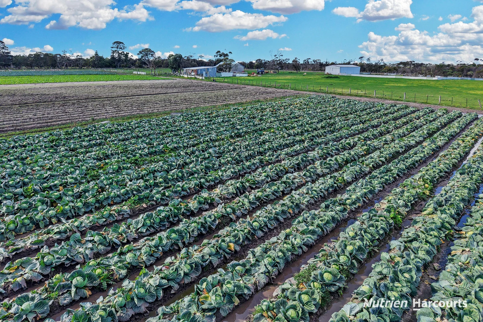 Additional image 12 of 240 Yarram Port Albert Road, Alberton VIC 3971