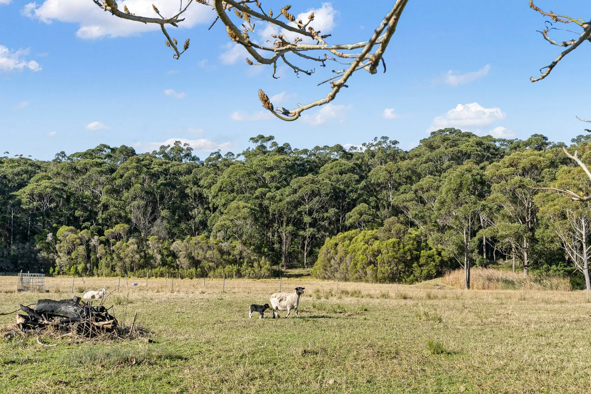 Additional image 42 of 43 The Heights, Narrawallee NSW 2539