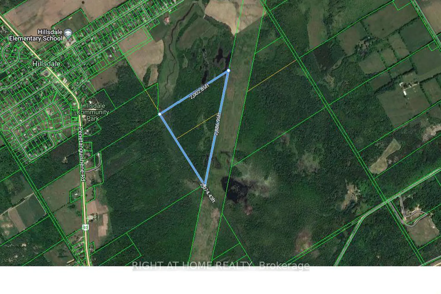 Additional image 7 of 53 Scarlett Line