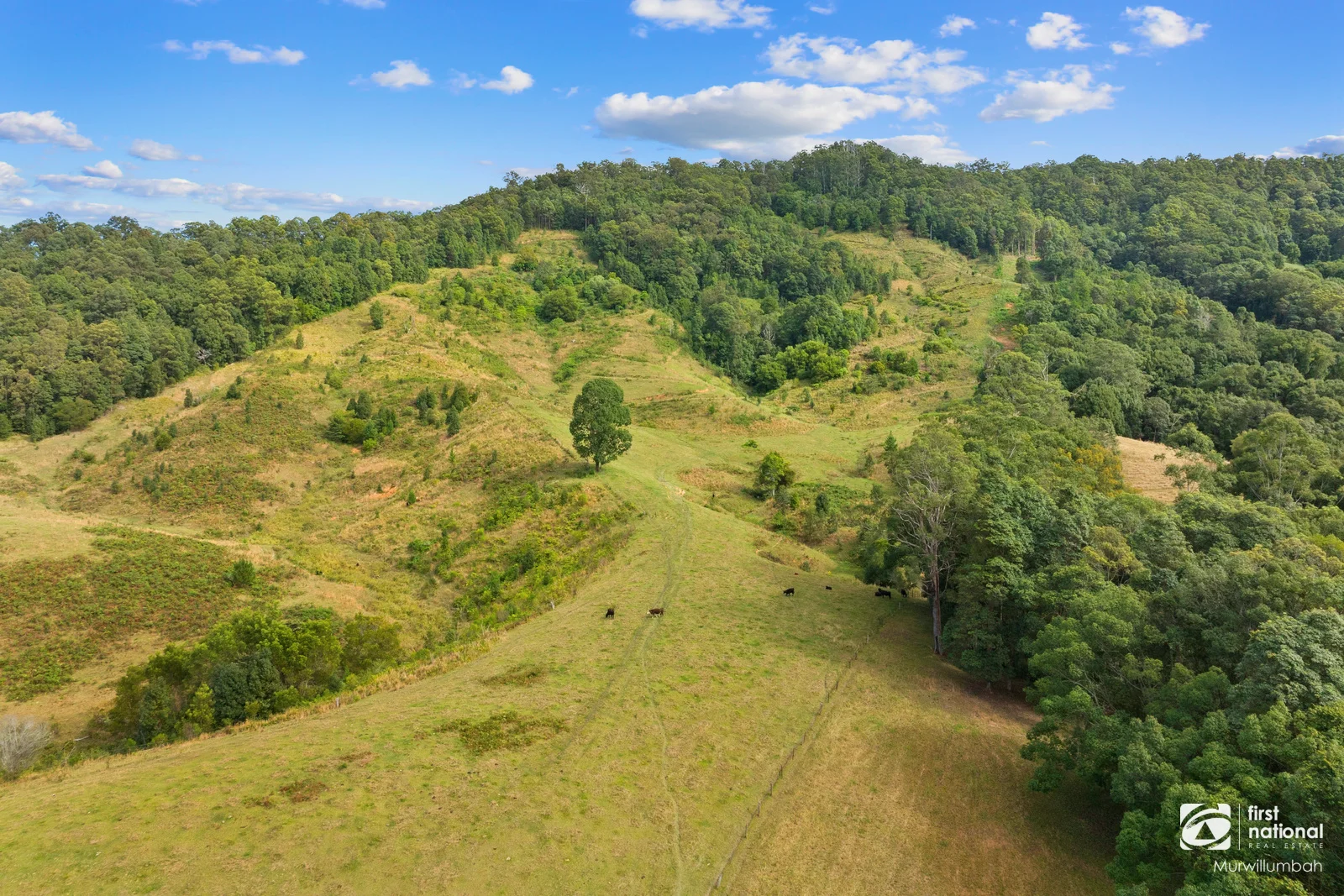 Additional image 37 of 584 Nobbys Creek Road, Nobbys Creek NSW 2484