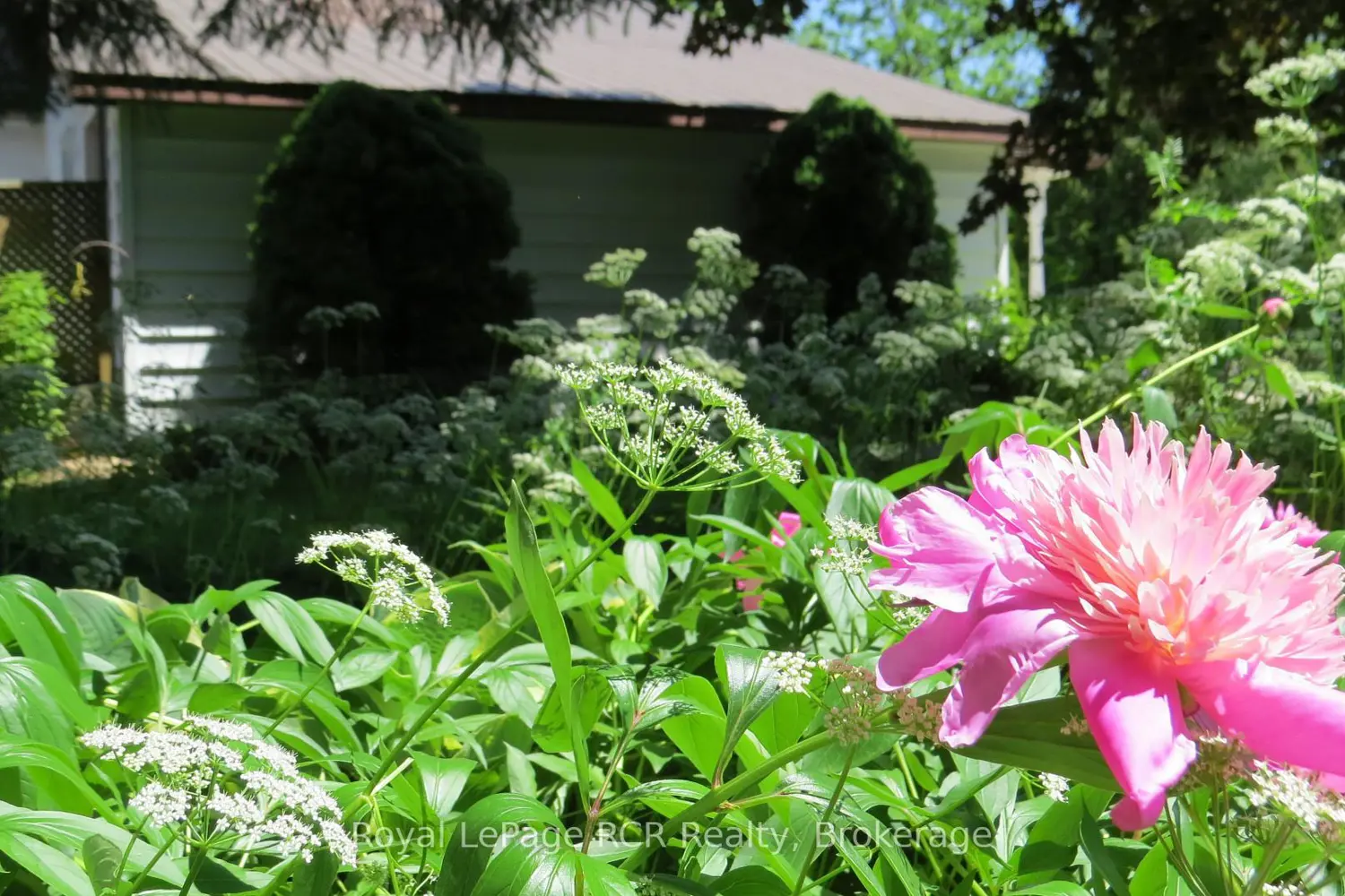 164 Edward Street photo 2