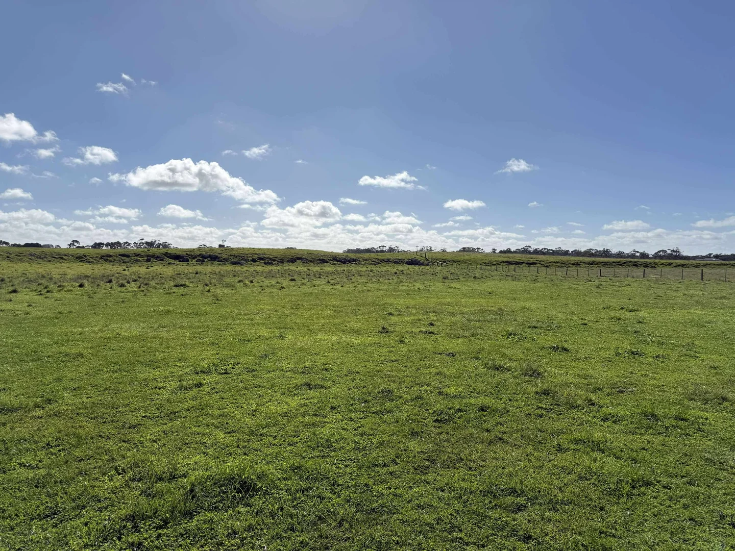 Additional image 3 of 56 Kent Drive, Millicent SA 5280