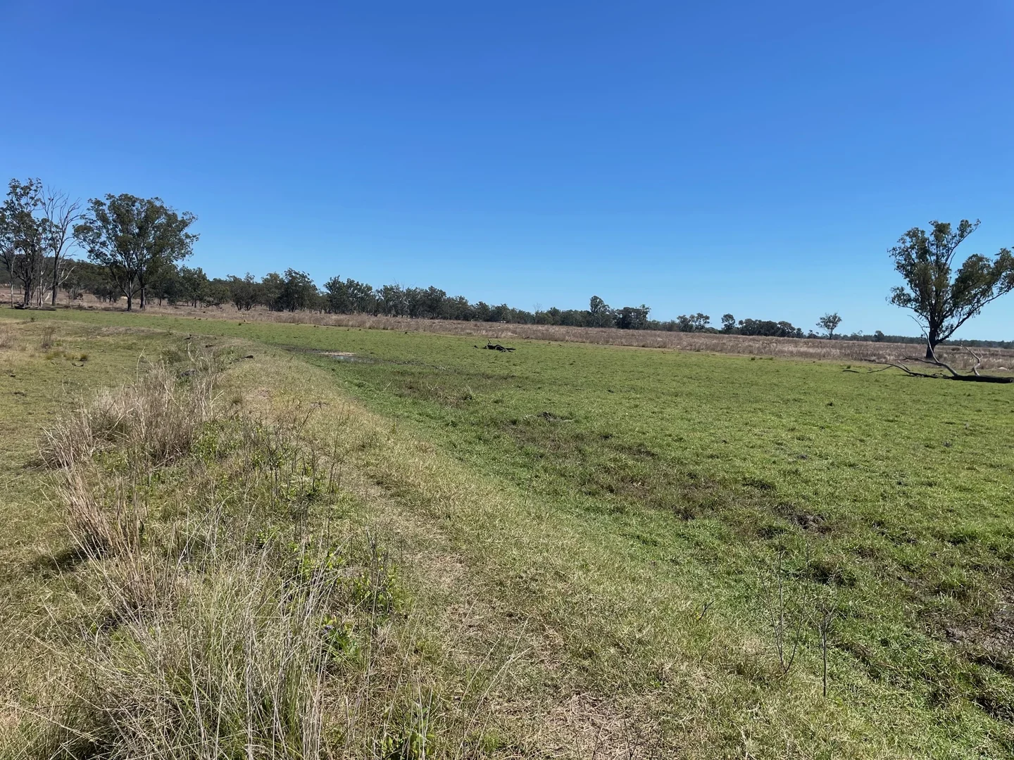 Additional image 15 of 8 Screening Plant Road, Cynthia QLD 4627
