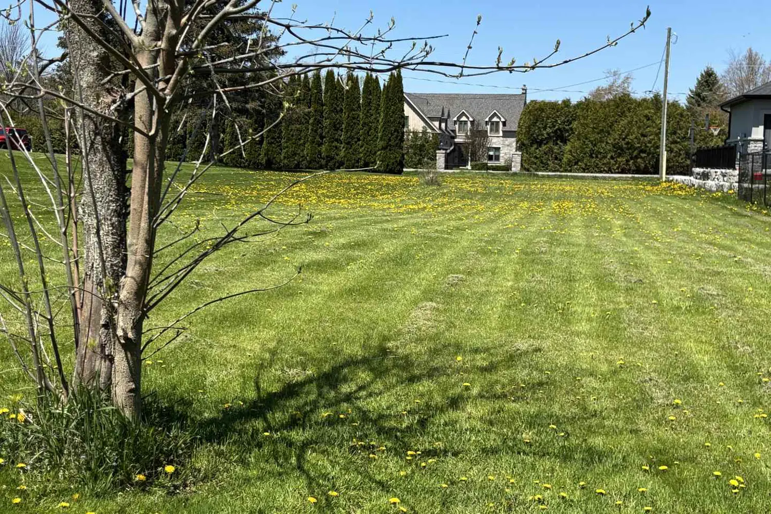 Additional image 3 of 7657 Black River Road