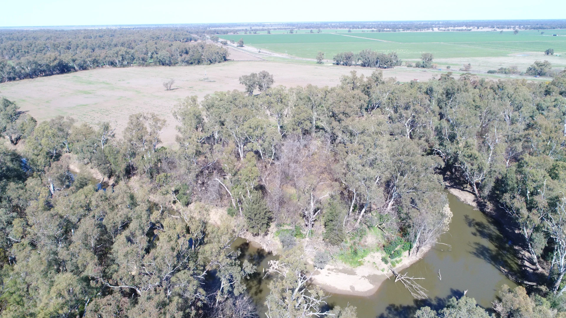 Additional image 12 of Warren NSW 2824