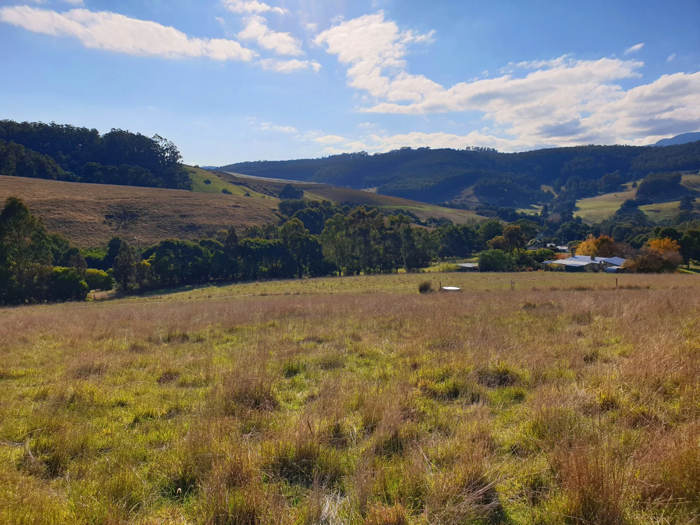 Additional image 4 of Lot 5 Wallace Road, Cygnet TAS 7112