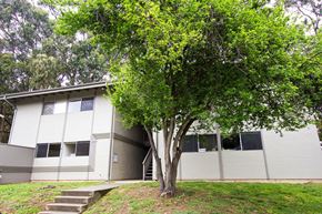 Additional image 5 of Quarry Avenue, San Francisco, CA, 94129