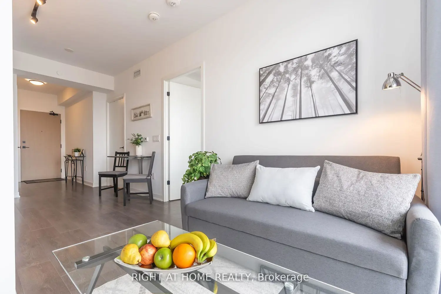 36 Zorra Street 1101