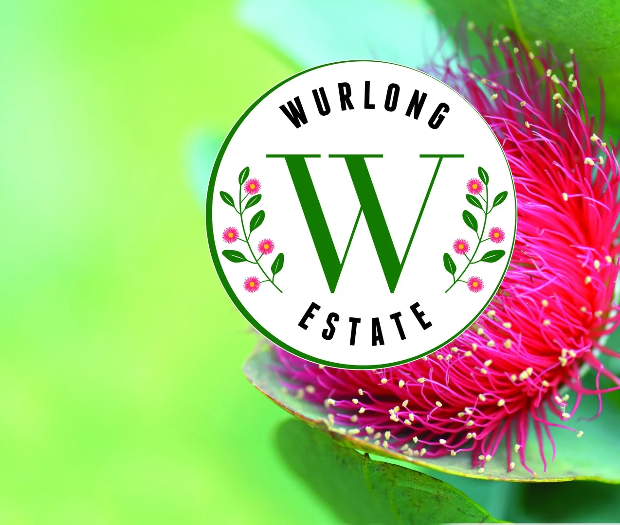 6 Wurlong Drive, Gol Gol NSW 2738