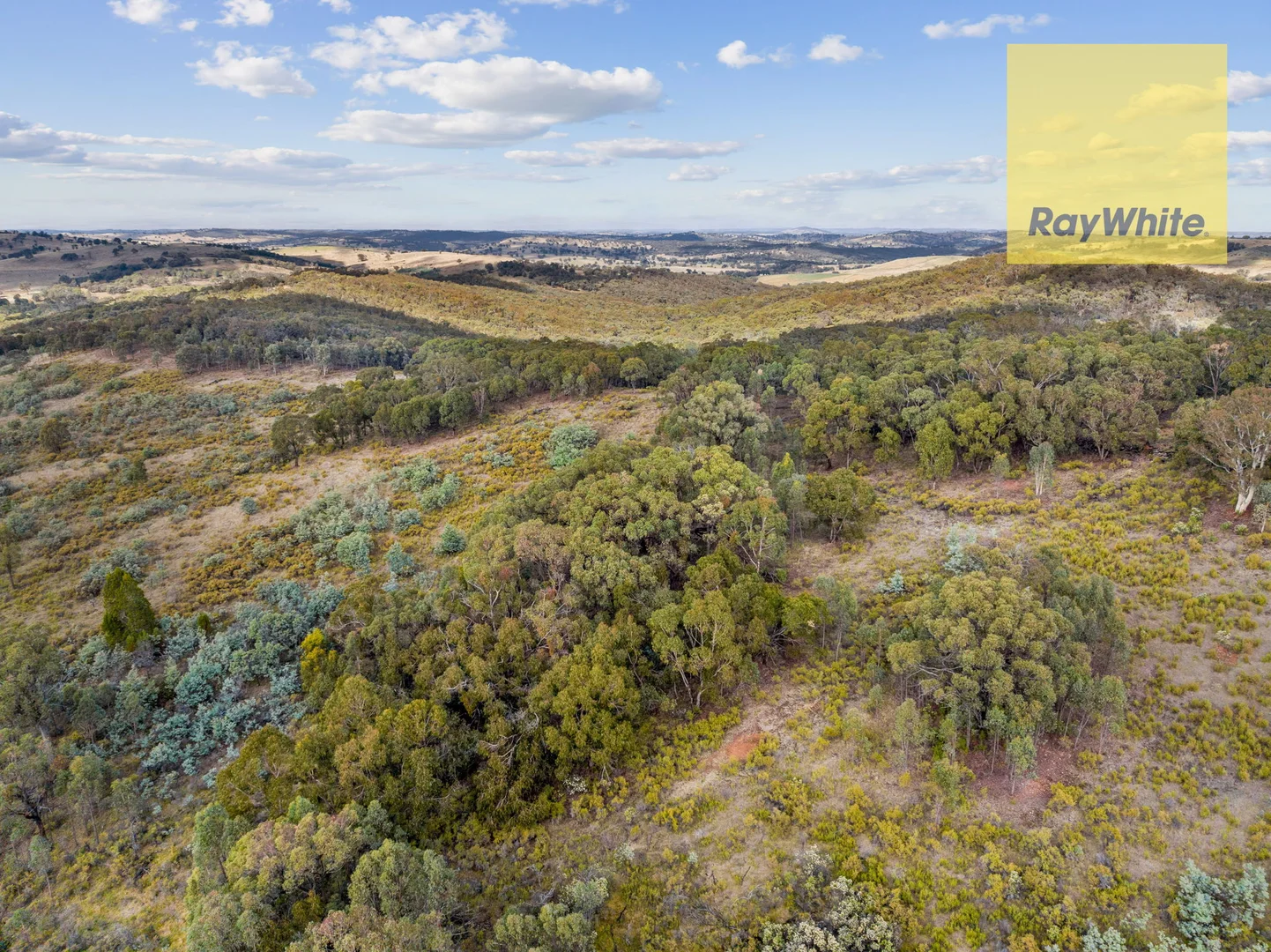 Additional image 12 of 1013 Bigga Road, Crooked Corner NSW 2583