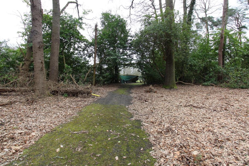 Additional image 6 of Land to rentCrawley Hill, West Wellow, Romsey SO51