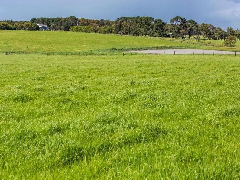 Additional image 8 of 42-90 Banks Road, Drysdale VIC 3222