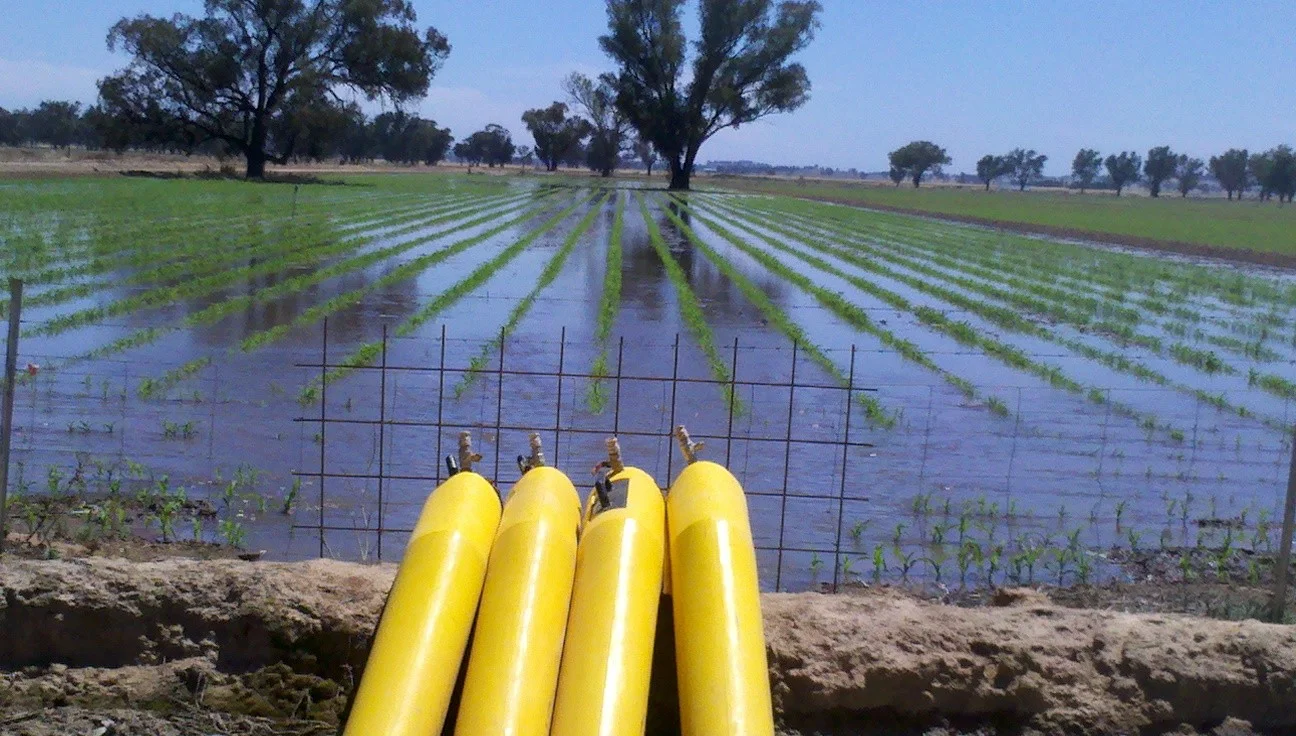 Additional image 2 of 10690 The Escort Way, Forbes NSW 2871