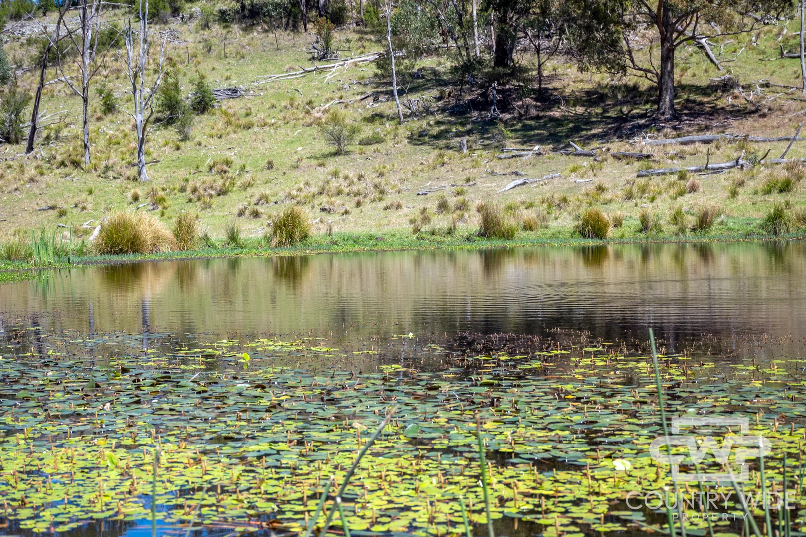 Additional image 13 of 11, - Ten Mile Rd, Deepwater NSW 2371