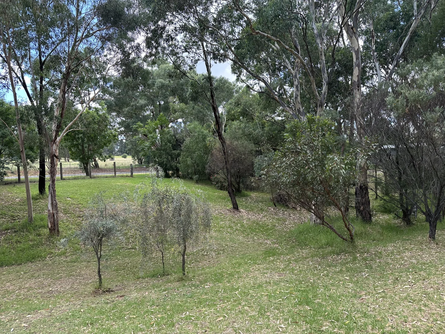 Additional image 26 of Cloudy Hill/82 Goddard Street, Coolah NSW 2843