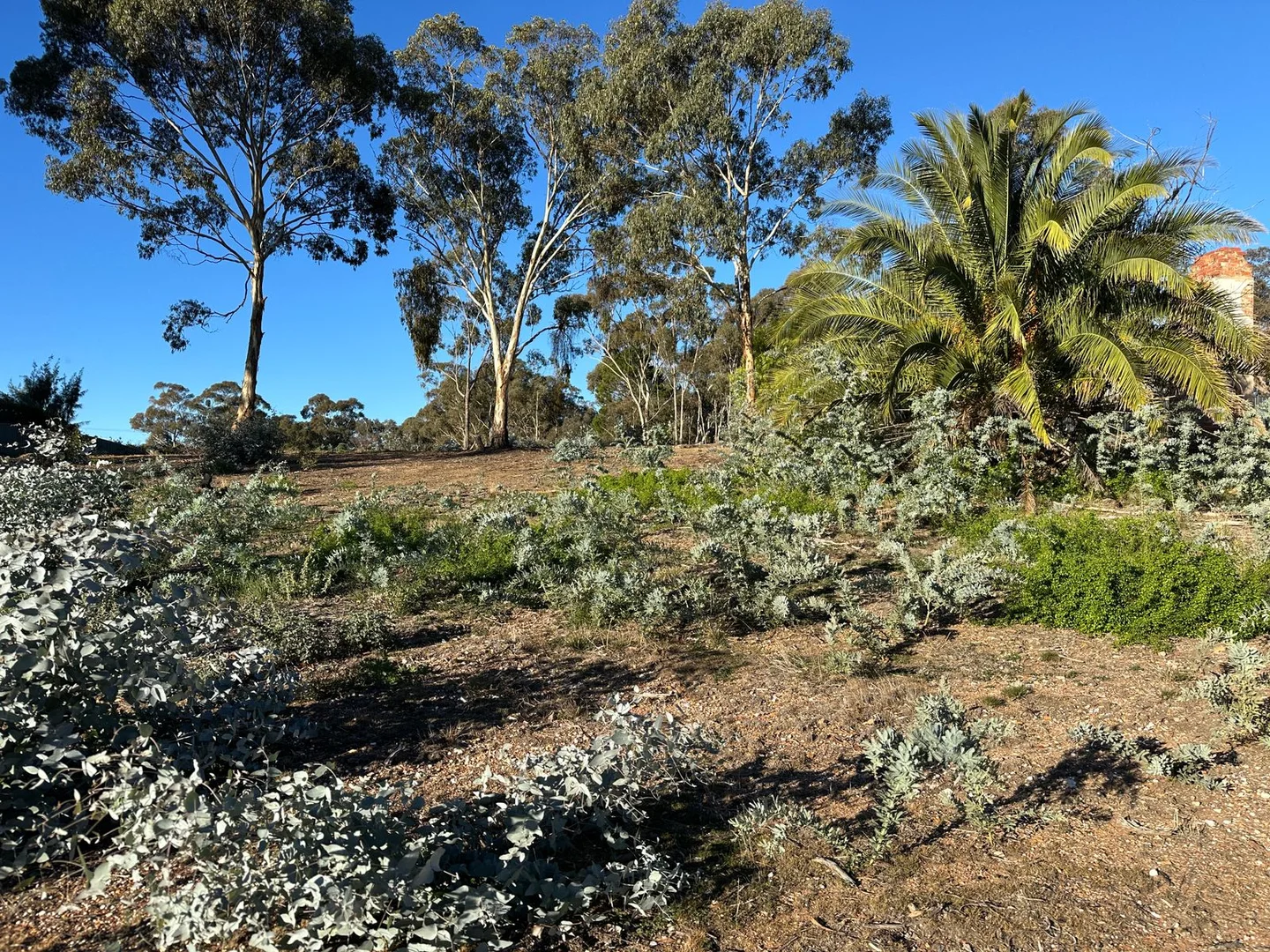 Additional image 5 of 50 Boyce Street, Avoca VIC 3467