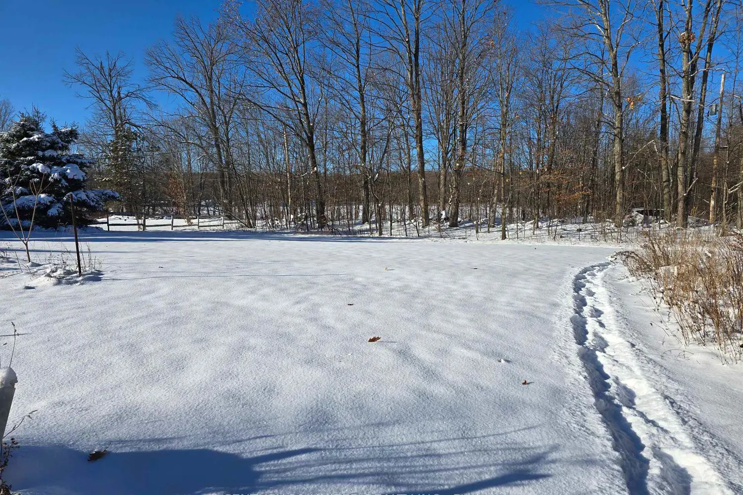 81 Vansickle Trail photo 3