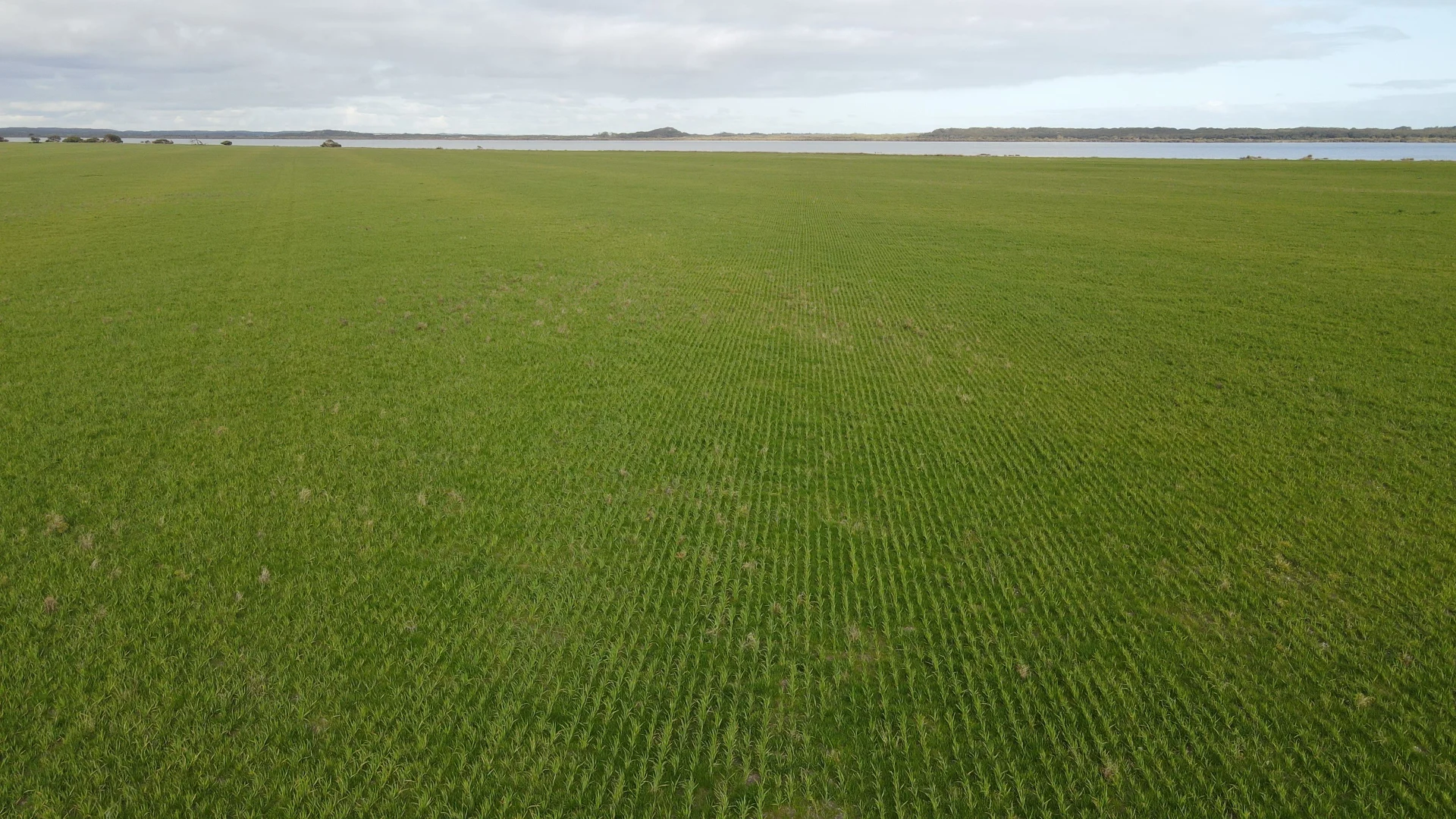 Additional image 17 of 703 Bog Lane, Nora Creina SA 5276