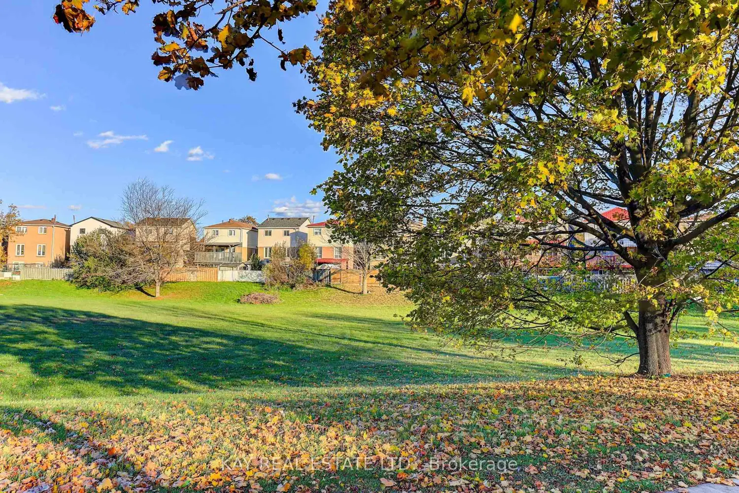 Additional image 4 of 125 Littleleaf Drive