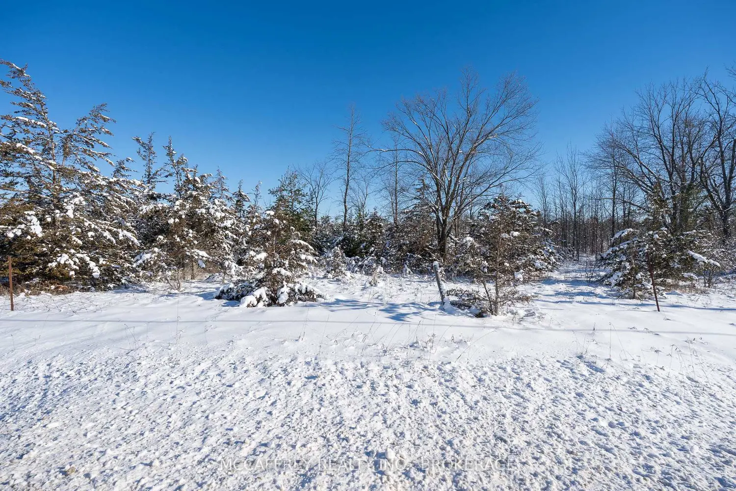 Additional image 10 of 0 County Rd 41