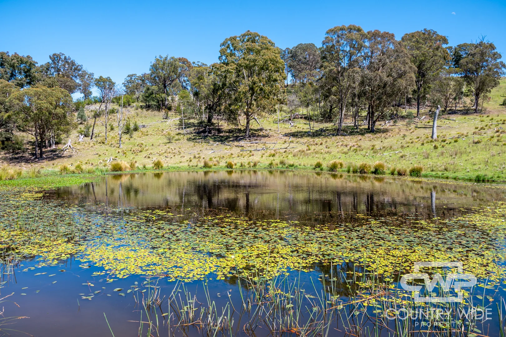Additional image 14 of 11, - Ten Mile Rd, Deepwater NSW 2371