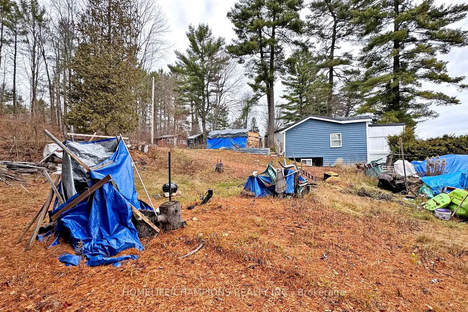 Additional image 2 of 1038 Pike Lane