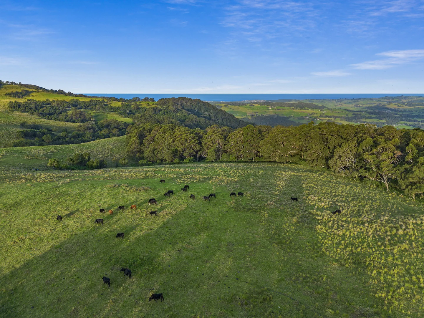 Additional image 27 of 283 Stockyard Mountain Road, Yellow Rock Ridge NSW 2527