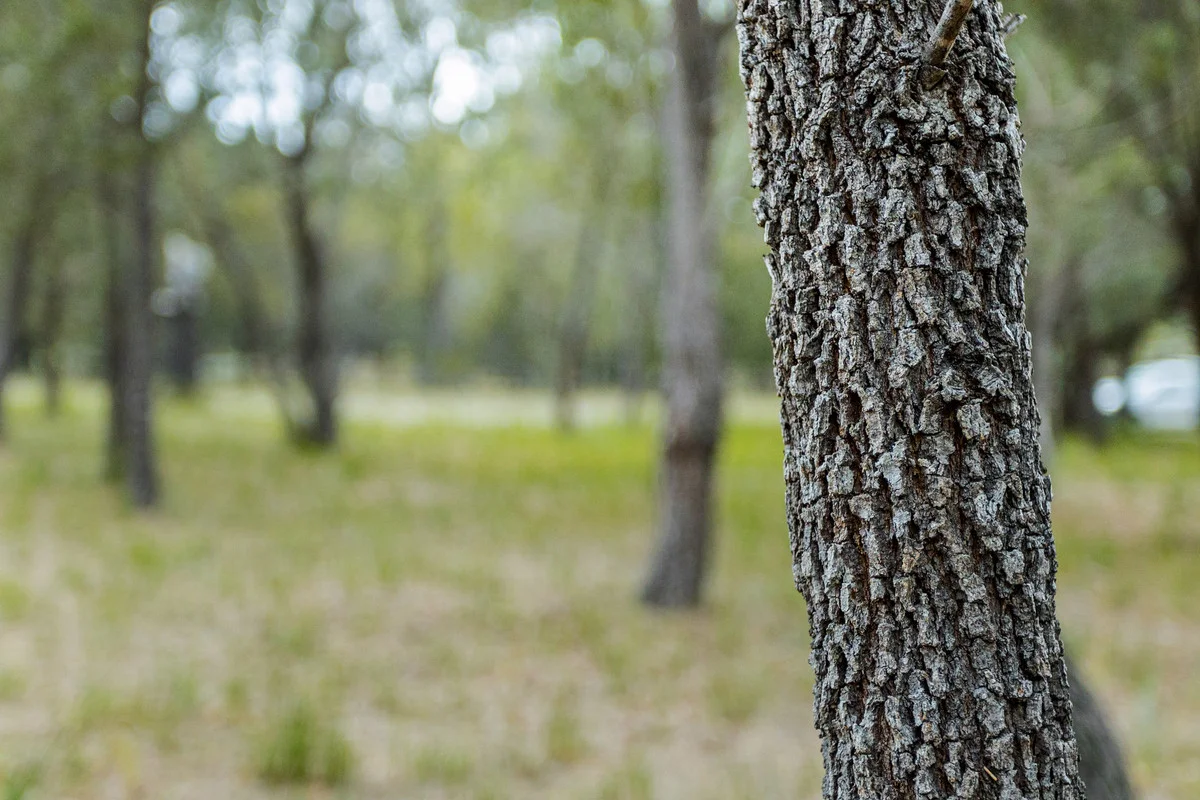 Additional image 15 of 204 Rheban Road, Orford TAS 7190