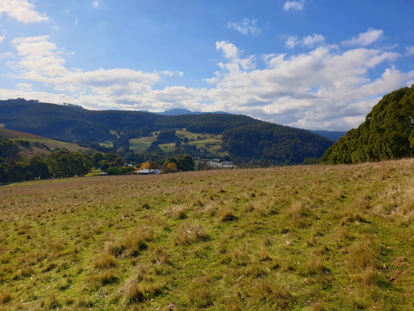 Additional image 2 of Lot 5 Wallace Road, Cygnet TAS 7112