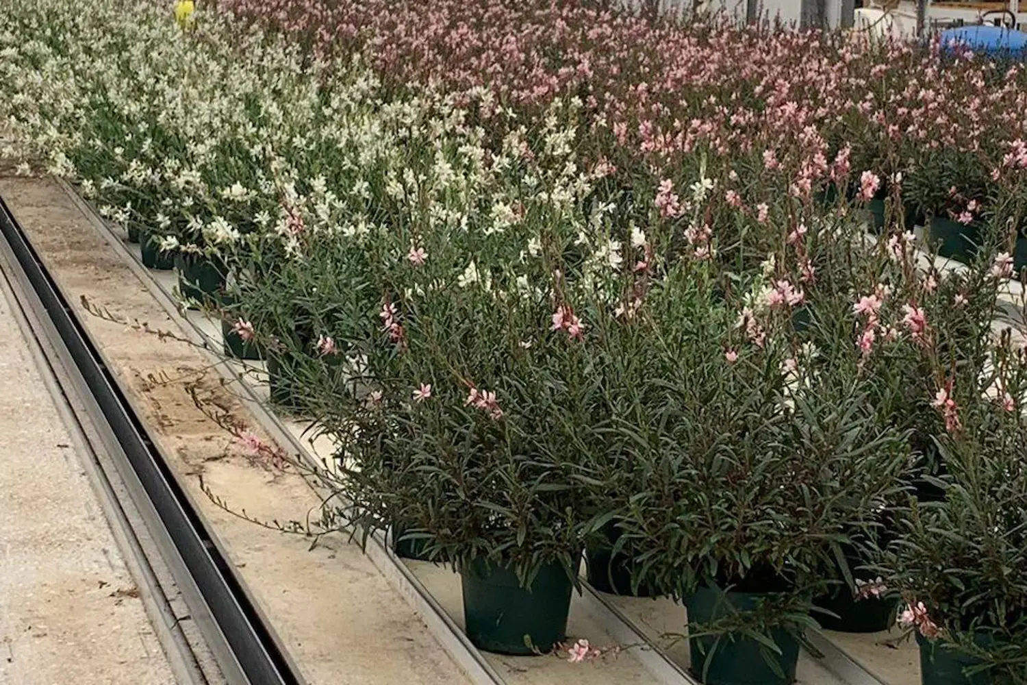 Additional image 14 of 430 Concession 7 Road