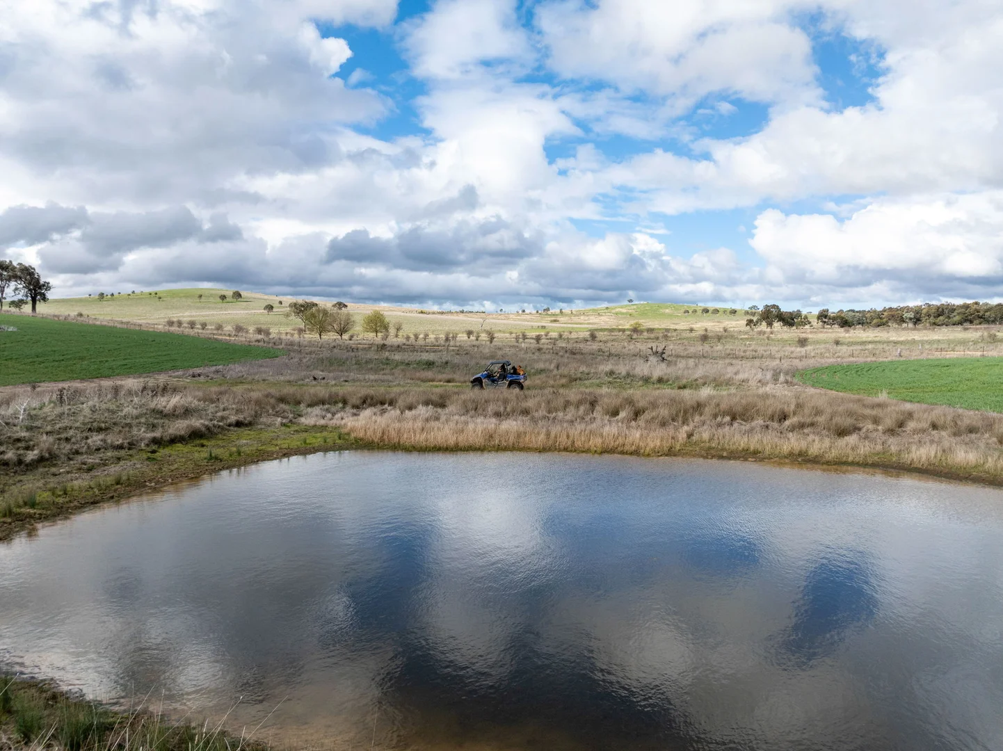 Additional image 5 of 'Darmody's', 969 Brial Rd, Boorowa NSW 2586